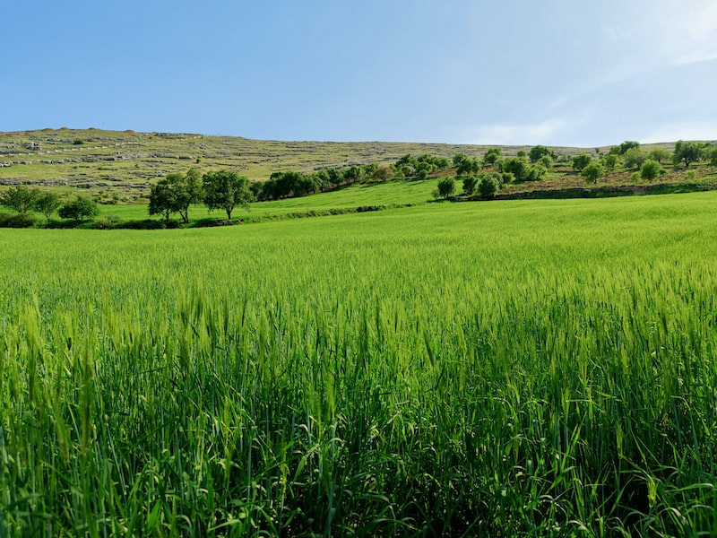 Bahar Temizliği İpuçları Bahar Temizliği İpuçları