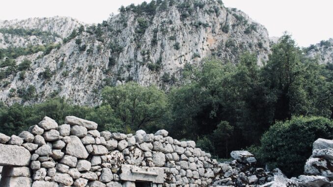 uploaded-image-evde-dogal-temizlik-urunleri-yapimi-1697383938853
